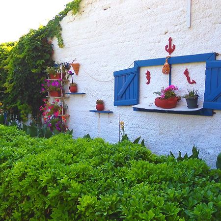 Katerina Seaside Studios Platanias Exterior foto